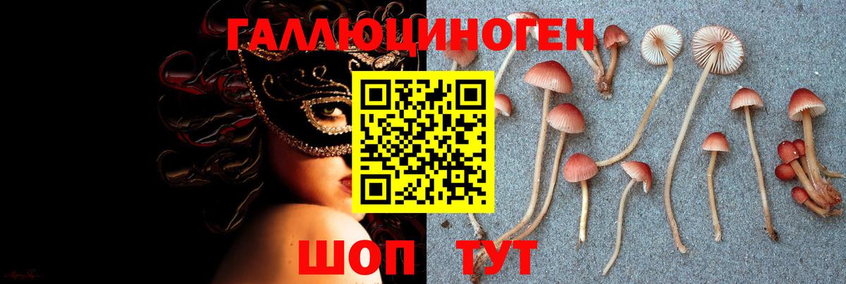 Удомля  Псилоцибиновые грибы GOLDEN TEACHER  Вход с VPN  Псилоцибиновые грибы Psilocybine cubensis 