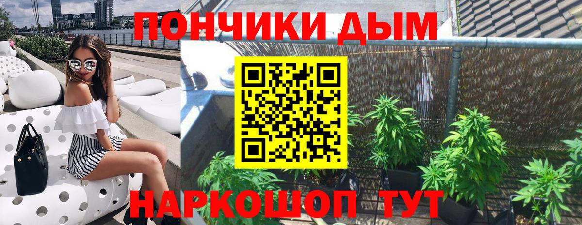 Канабис планчик Удомля